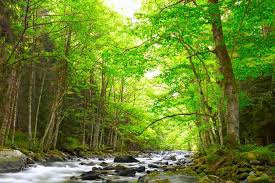 San Francisco Sky Line