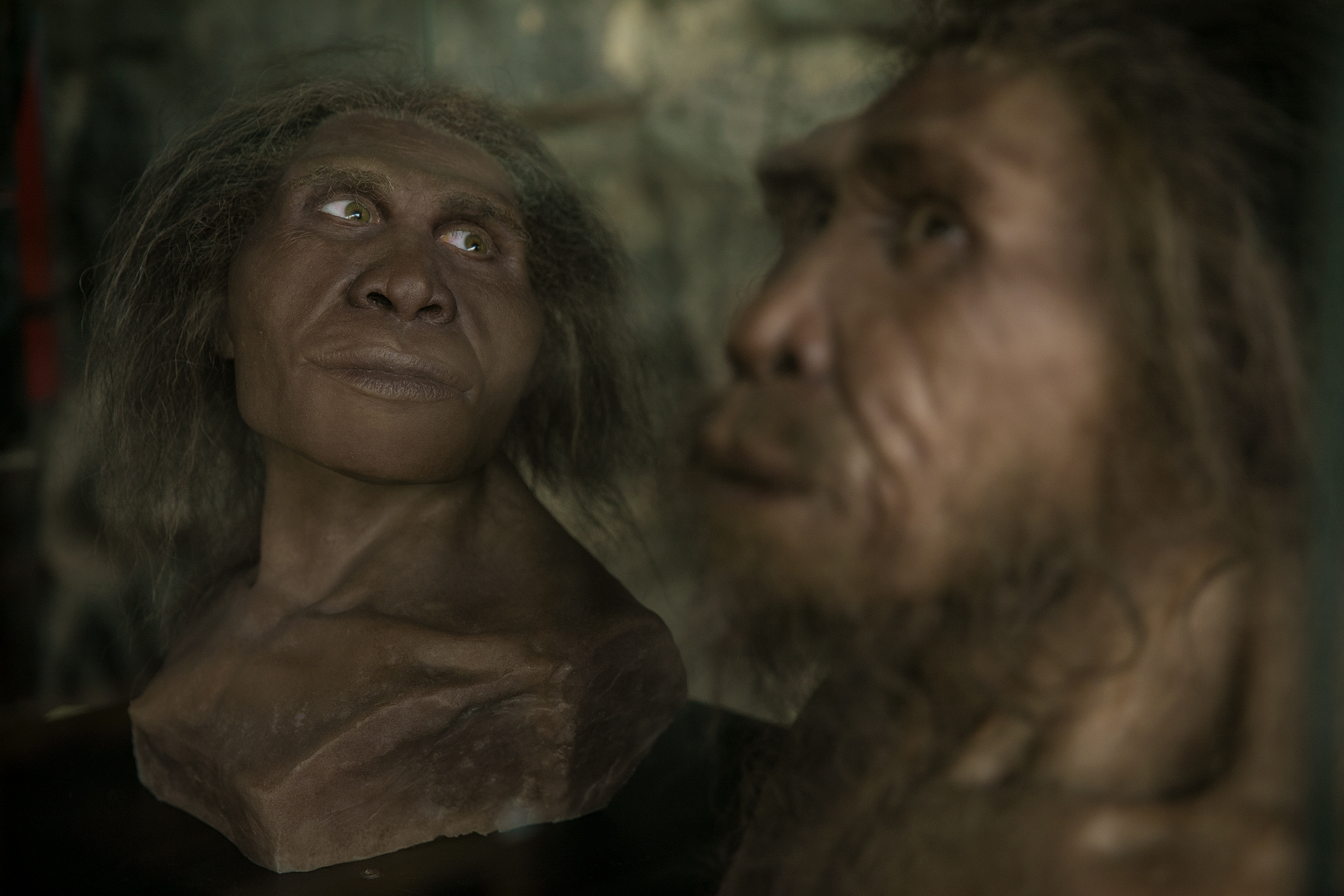 San Francisco Sky Line