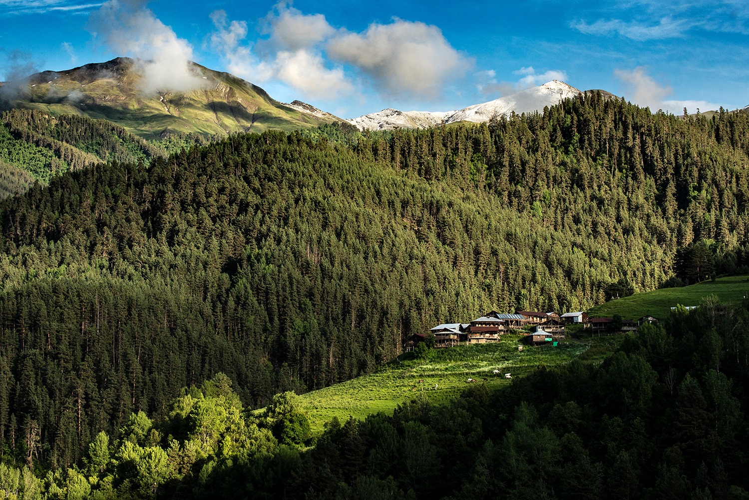 San Francisco Sky Line